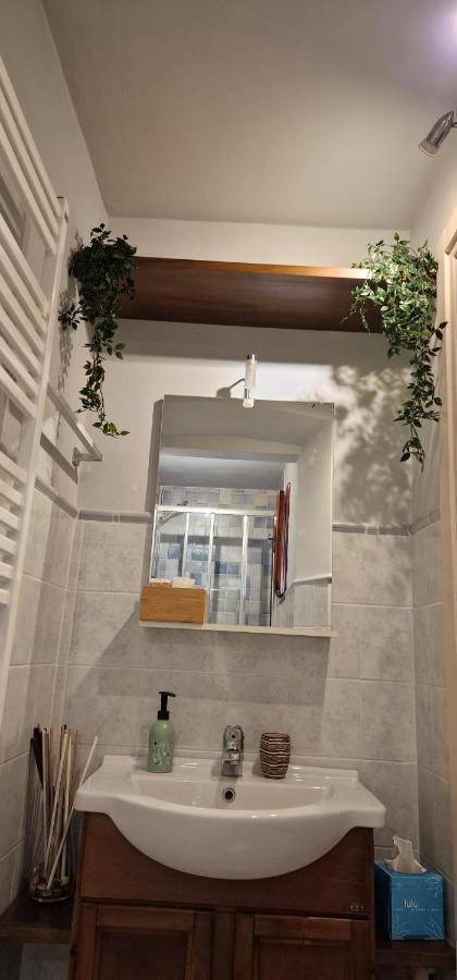 Monica Appartamento Con Giardino Al Ponte Vecchio Firenze Kültér fotó